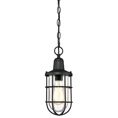WESTINGHOUSE Pendant Outdoor 60W Crestview, Textured Black Clear Seeded Glass 6334800